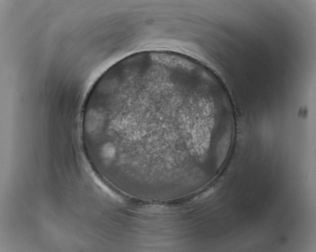 X0000112031517200908241526