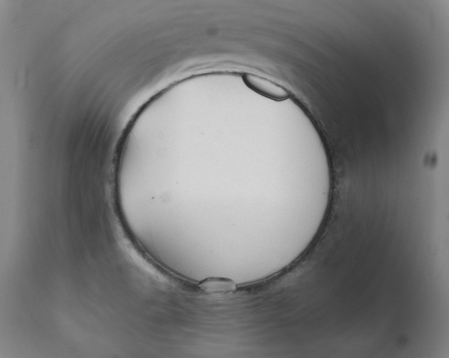 X0000112031518200908241526