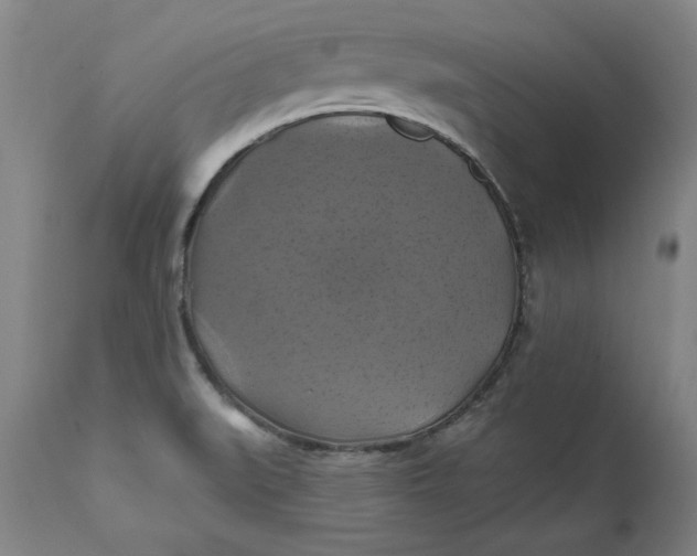 X0000112031519200908241526