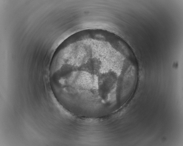 X0000112031521200908241526