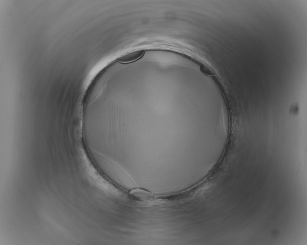 X0000112031522200908241526