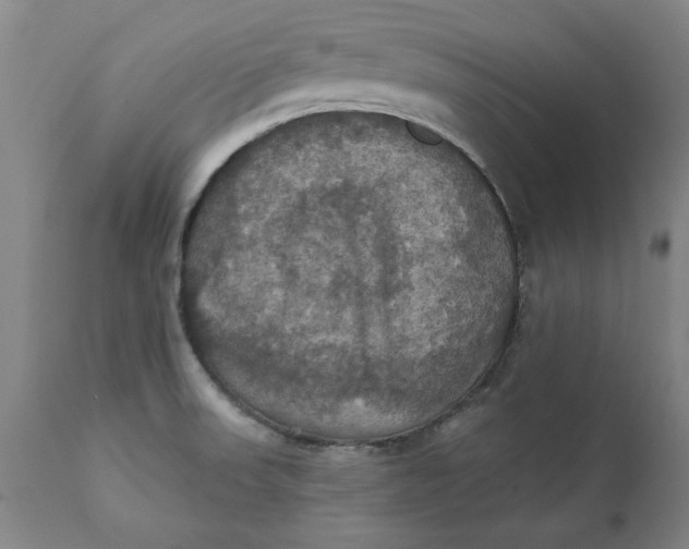 X0000112031523200908241526