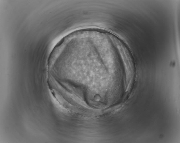 X0000112031524200908241526