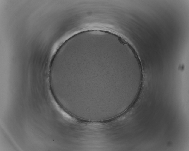 X0000112031525200908241526