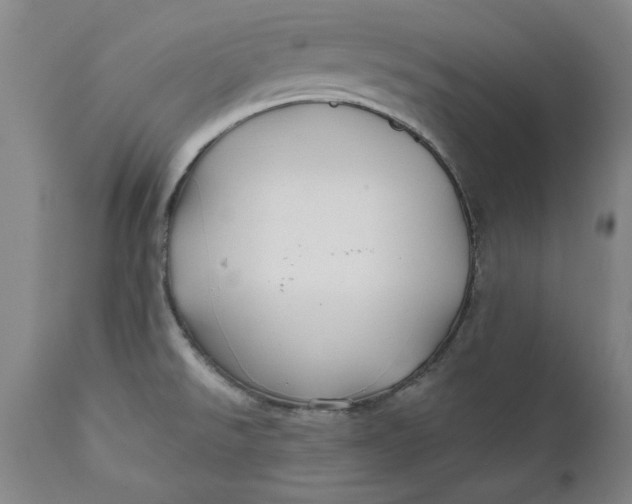 X0000112031526200908241526