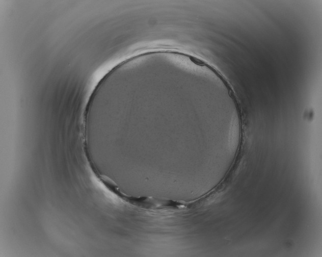 X0000112031527200908241526