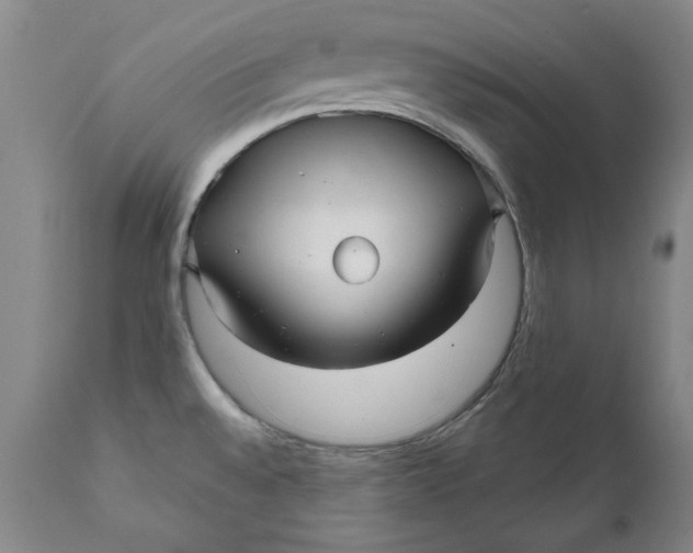 X0000112031528200908241526