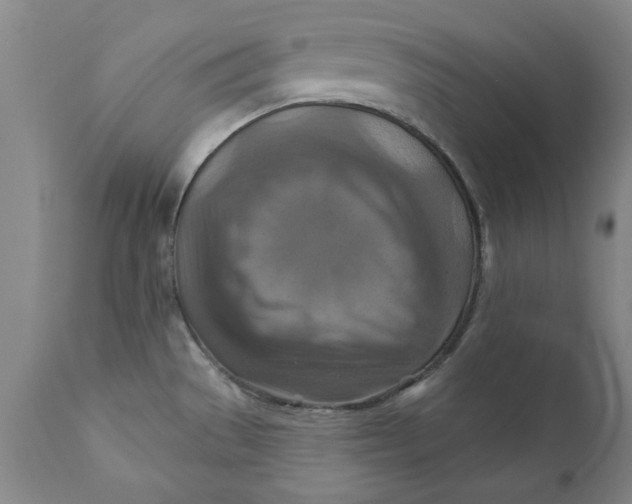 X0000112031529200908241526