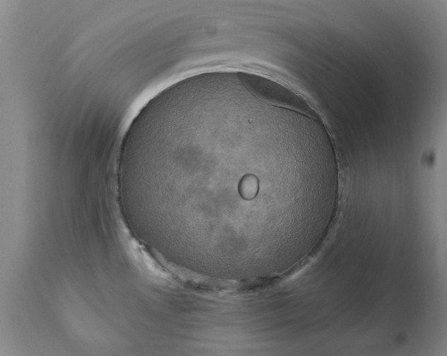 X0000112031530200908241526