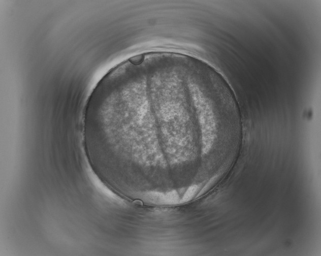 X0000112031531200908241526