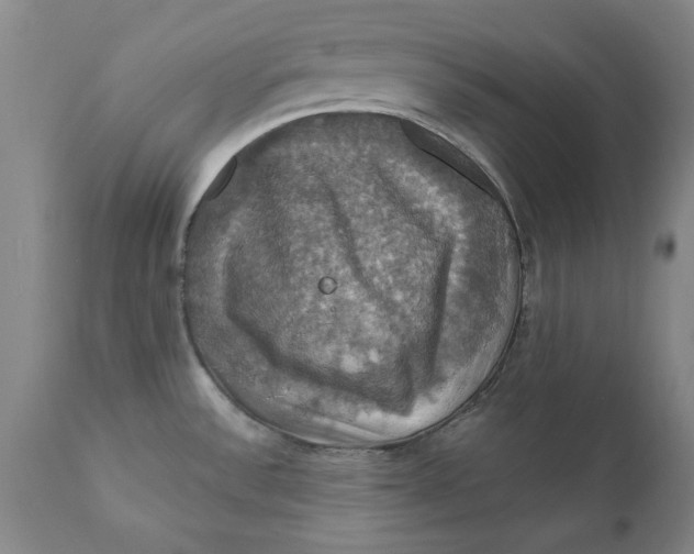 X0000112031532200908241526