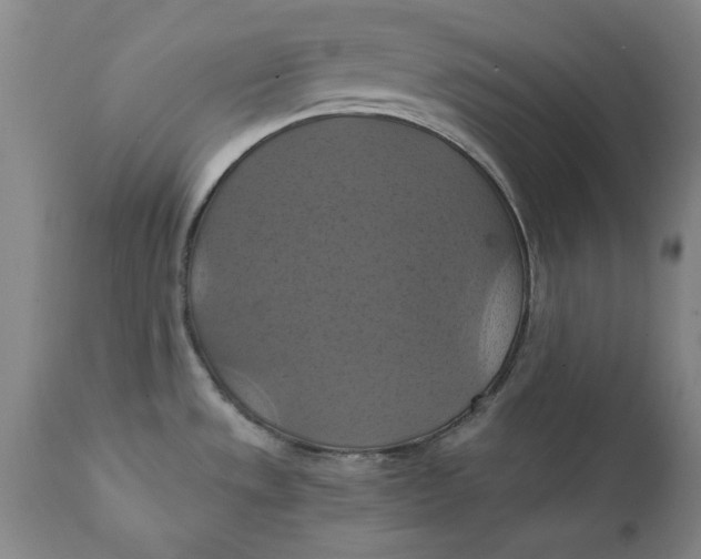 X0000112031533200908241526