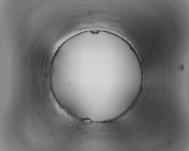 X0000112031534200908241526