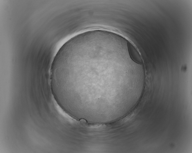 X0000112031535200908241526