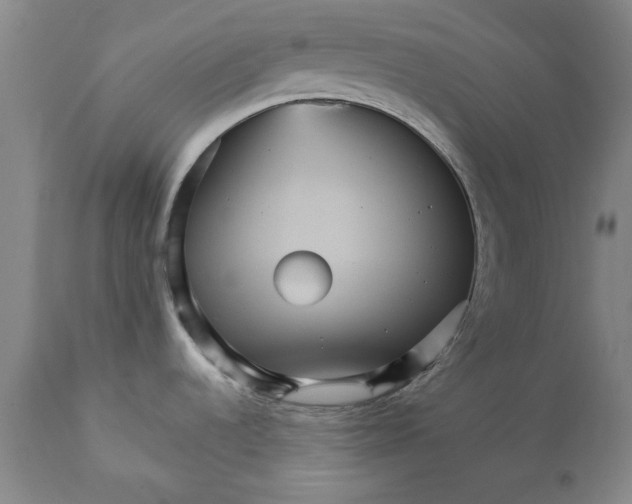 X0000112031536200908241527