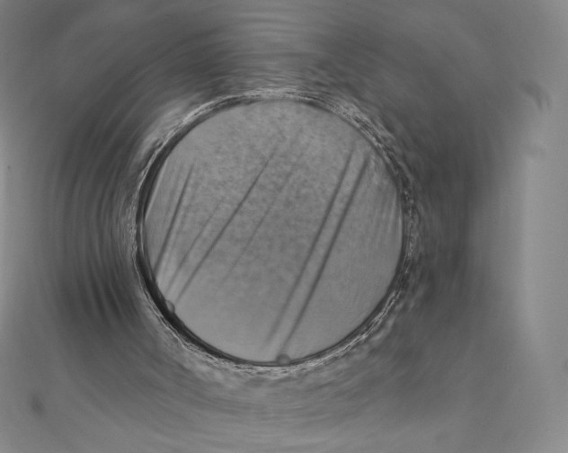 X0000112030002200908311225