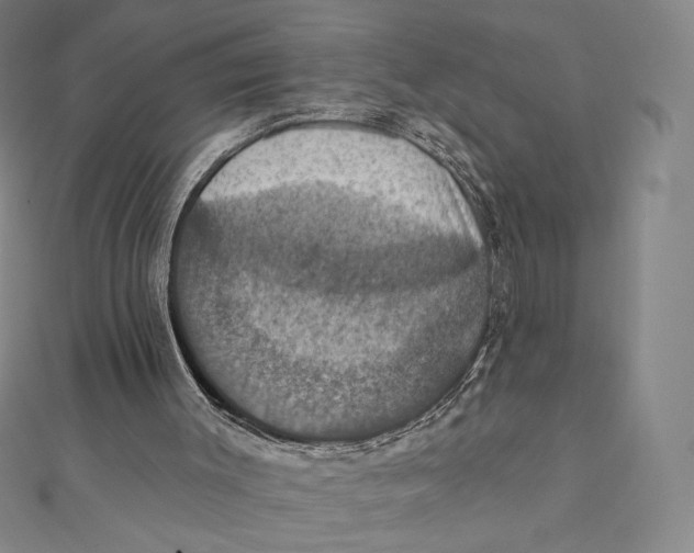 X0000112030003200908311225