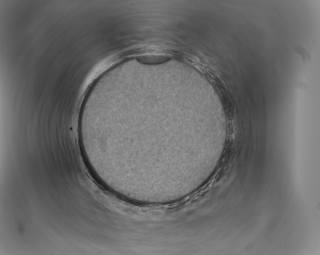 X0000112030004200908311225