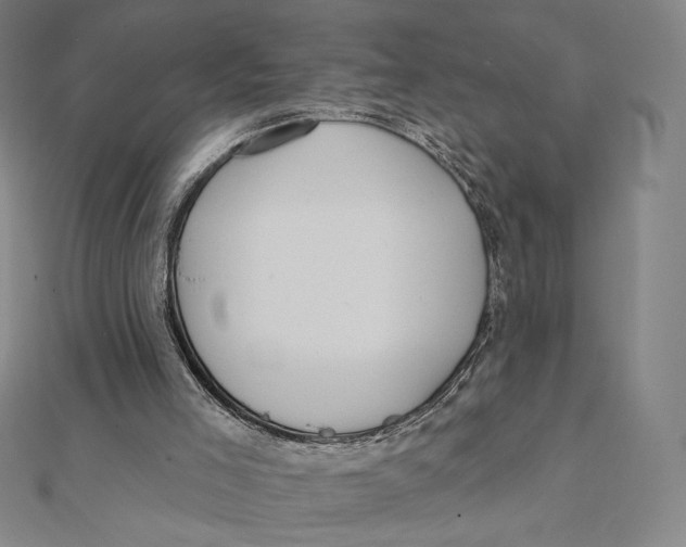 X0000112030005200908311225