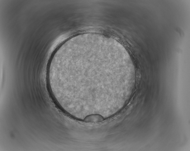 X0000112030006200908311225