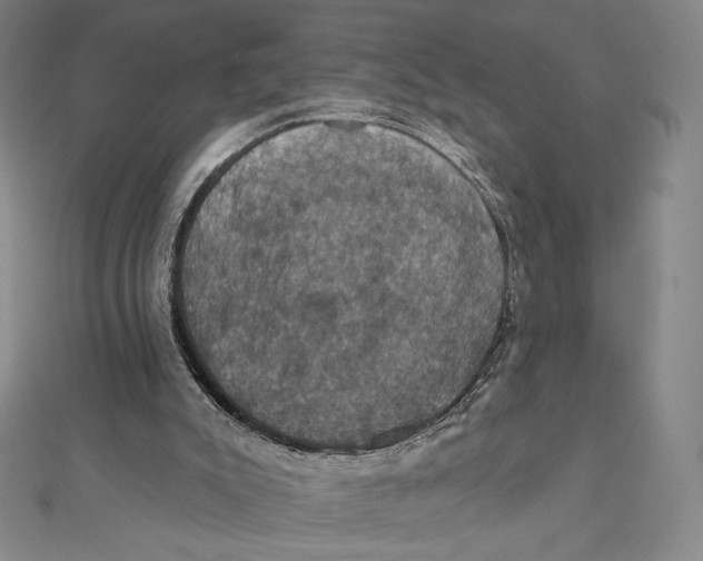 X0000112030007200908311225