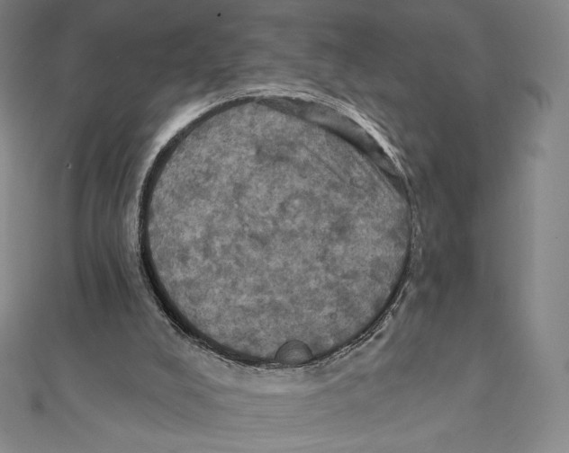 X0000112030008200908311225