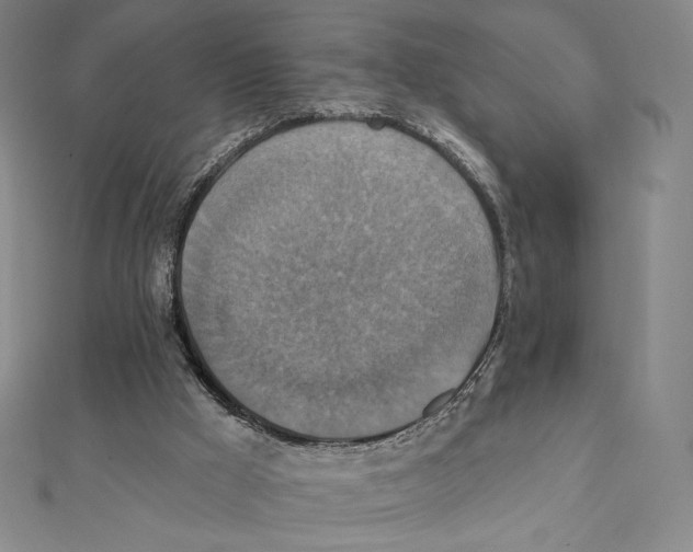 X0000112030009200908311225