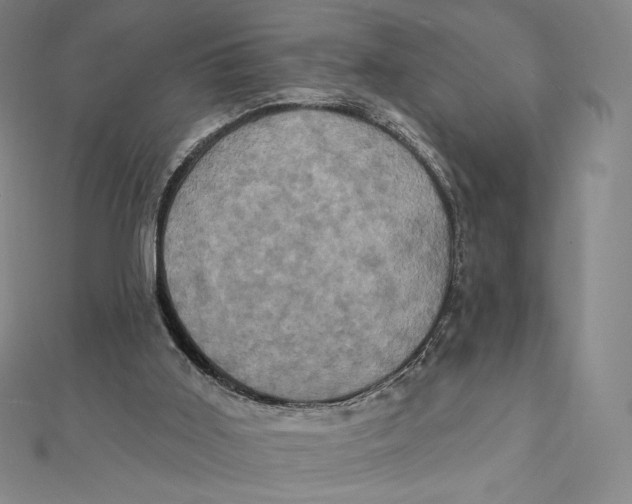 X0000112030011200908311225