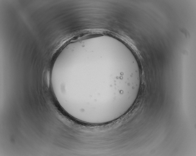 X0000112030013200908311225