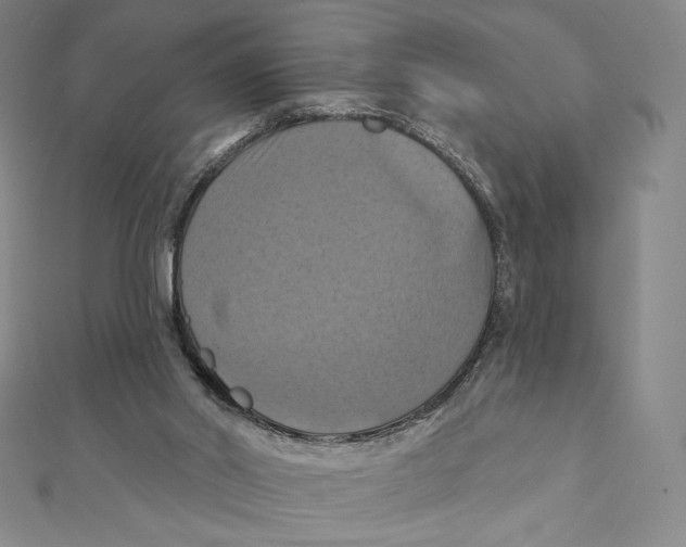 X0000112030014200908311225