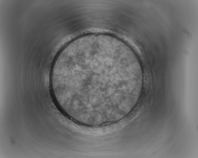 X0000112030015200908311225