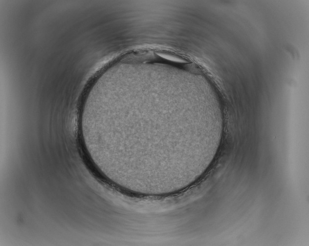X0000112030016200908311225