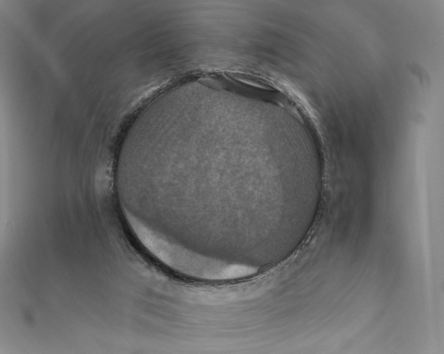 X0000112030017200908311225