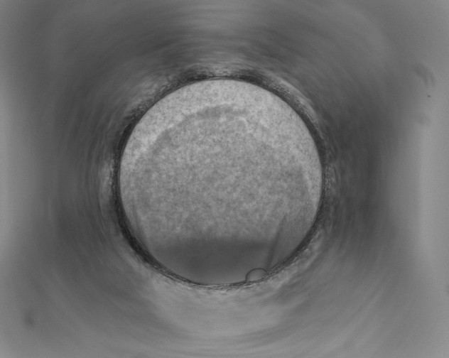X0000112030018200908311225