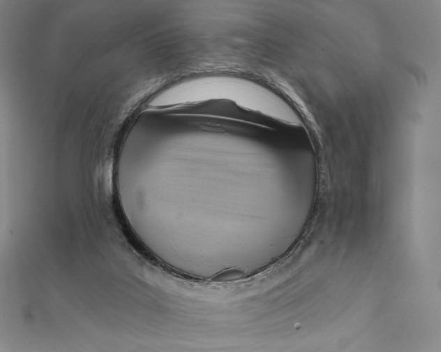 X0000112030019200908311225