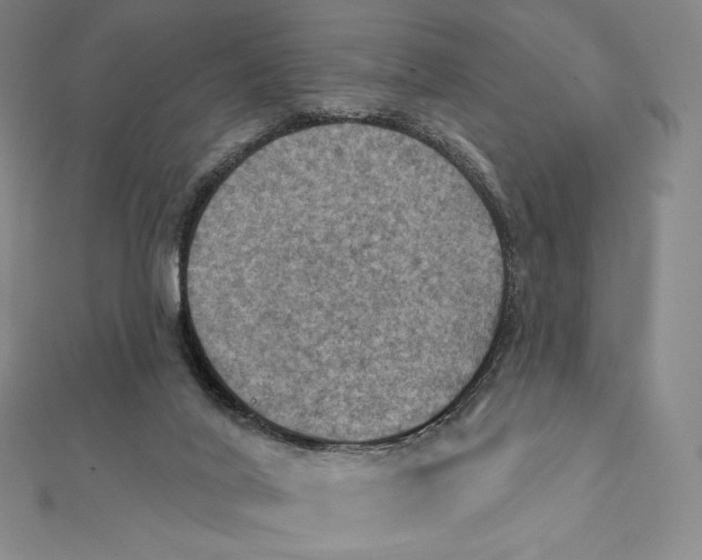 X0000112030020200908311225