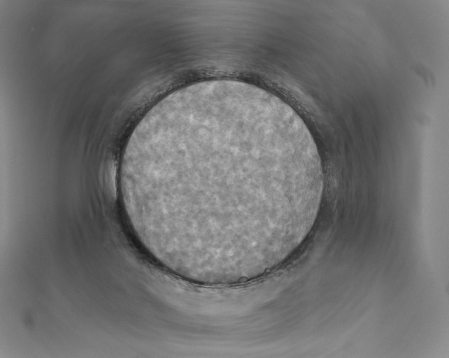 X0000112030022200908311225