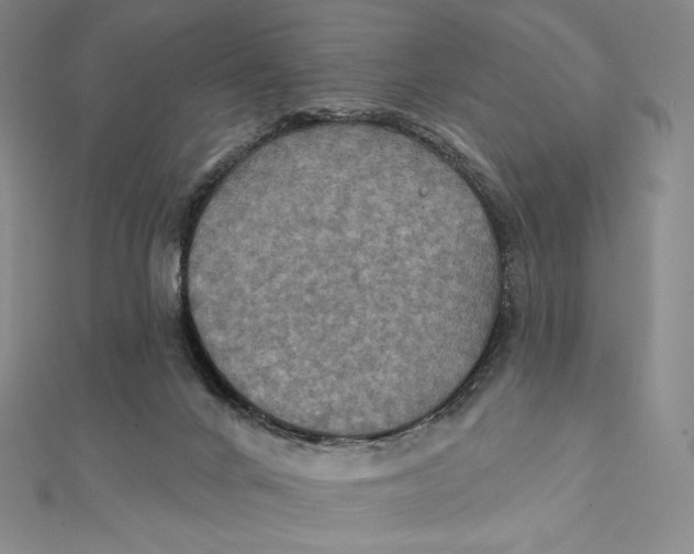 X0000112030024200908311225