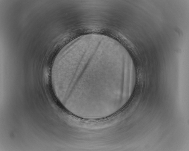 X0000112030026200908311224