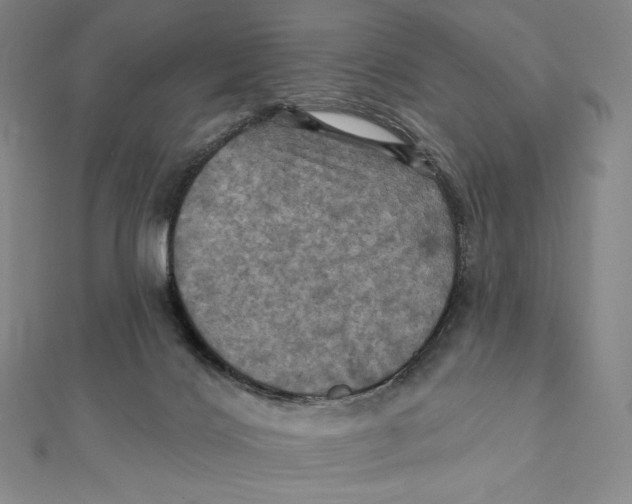 X0000112030028200908311224