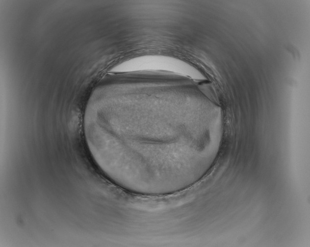 X0000112030029200908311224