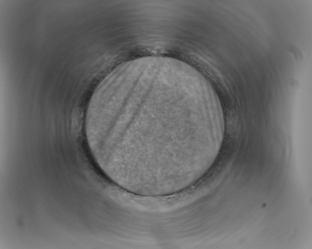 X0000112030030200908311224