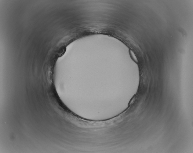 X0000112030031200908311224