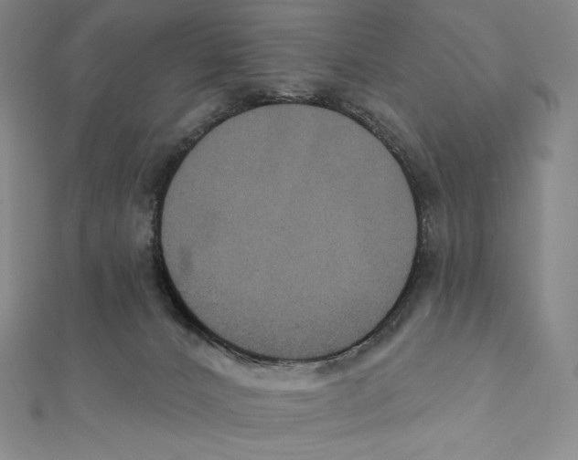 X0000112030032200908311224