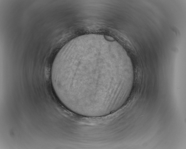 X0000112030033200908311224