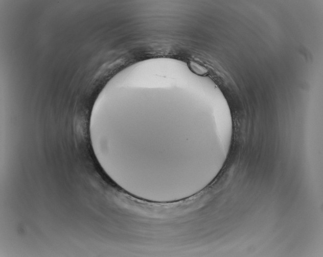 X0000112030035200908311224