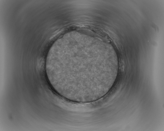 X0000112030036200908311224