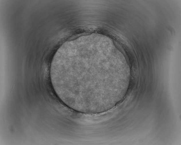 X0000112030037200908311224