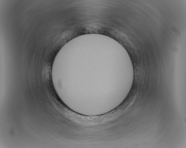 X0000112030038200908311224