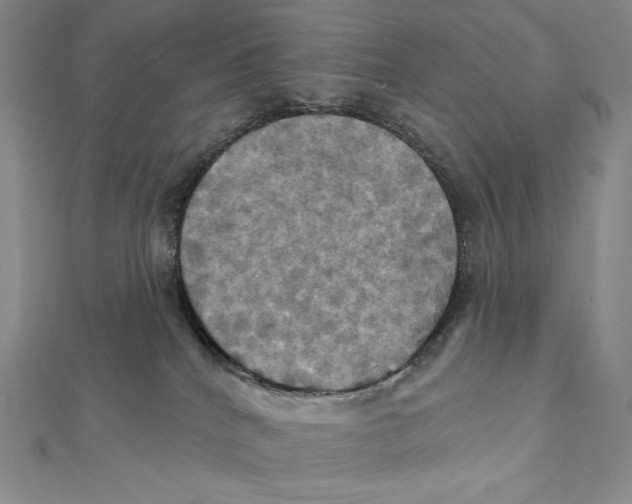 X0000112030040200908311224